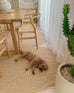 Cynthia Beige Modern Braided Indoor Outdoor Rug