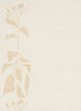 Eugenie Neutral Botanical Border Washable Rug