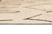 Fralyn Brown Beige Indoor Outdoor Washable Rug