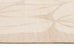 Minar Beige Botanical Washable Rug