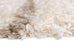 Neriza Cream & Beige Tribal Shag Rug