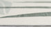 Quella Green Botanical Washable Rug