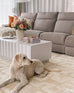 Villosa Textured Neutral Washable Rug