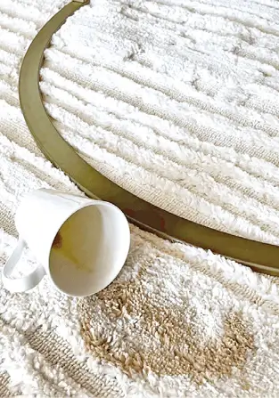 Stainvincible Collection