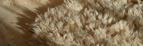 Hallway with stylish rugs