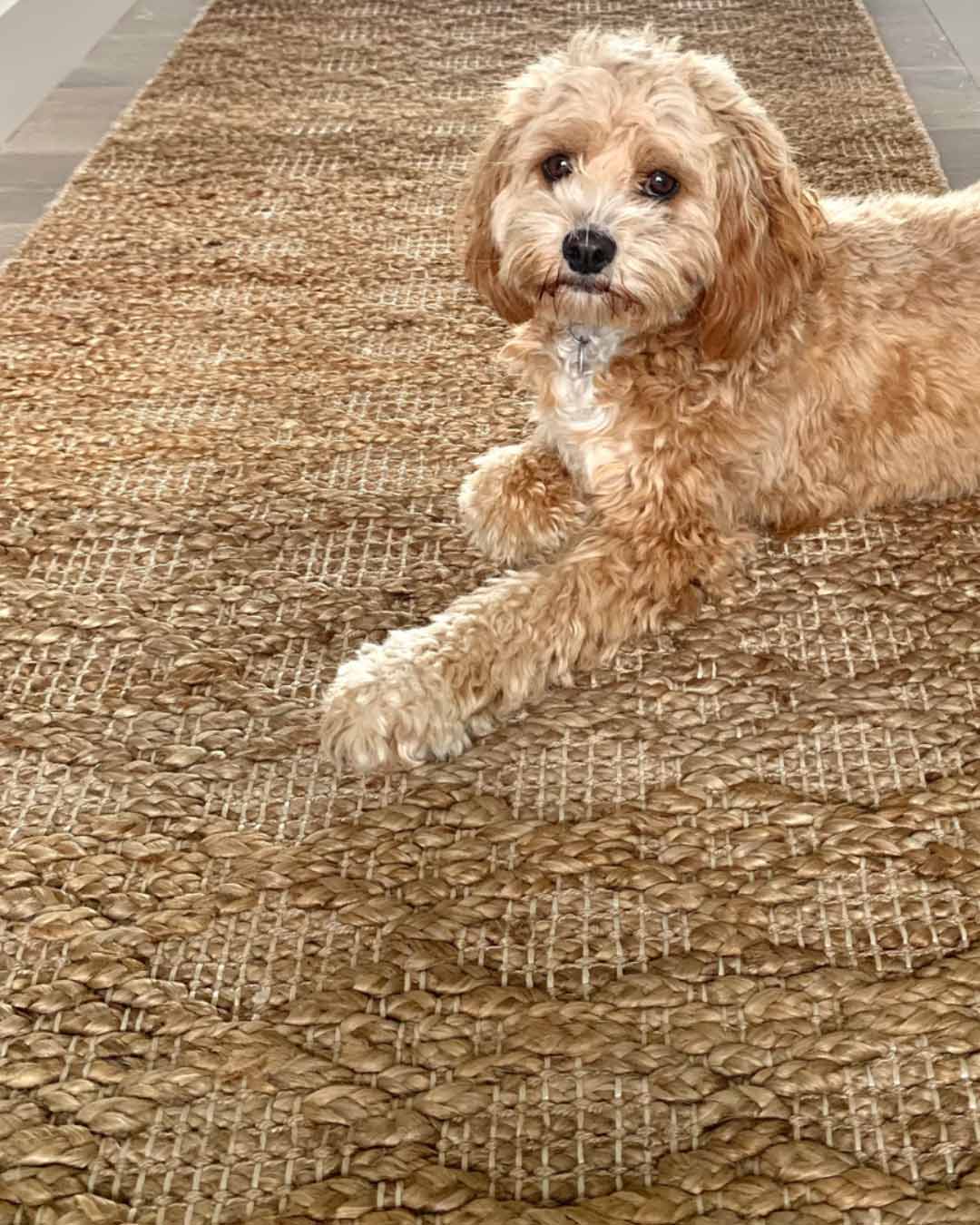 Callie Tribal Natural Diamond Jute Runner Rug