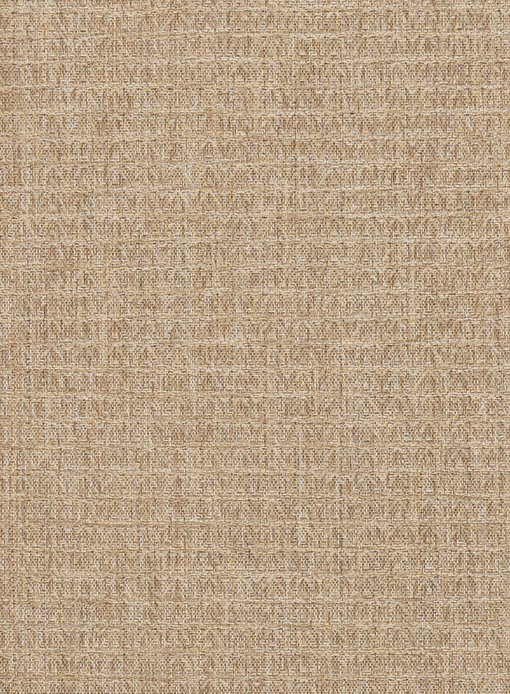 Coast Desert Beige Indoor Outdoor Rug