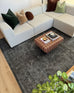 Dalma Charcoal Grey And Ivory Traditional Distressed Rug