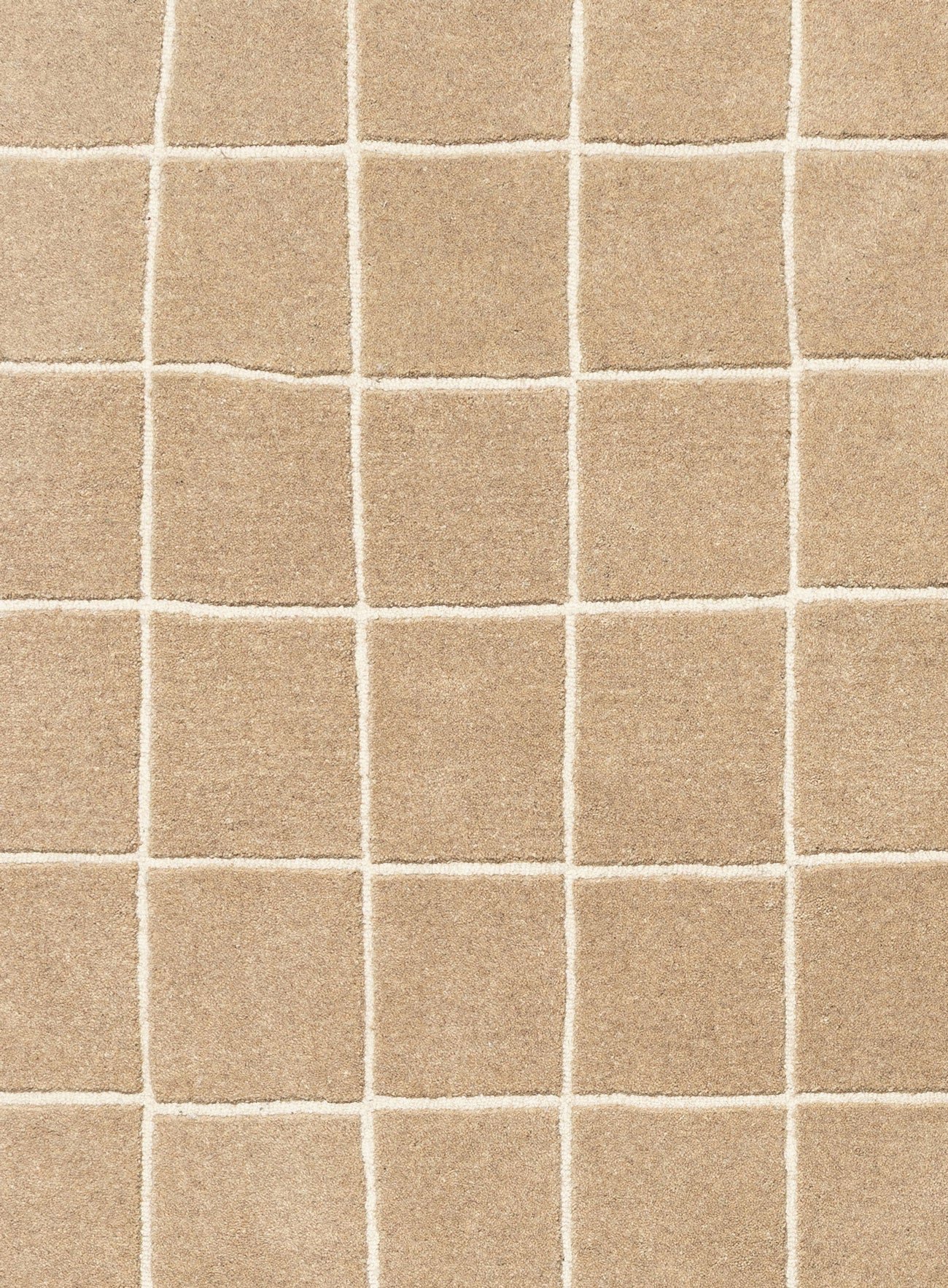 Danica Hand Tufted Brown Rug