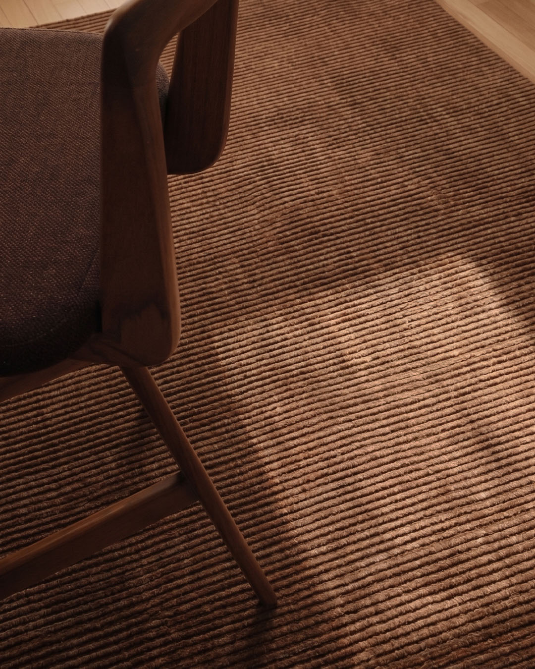 Dariel Handloomed Brown Rug