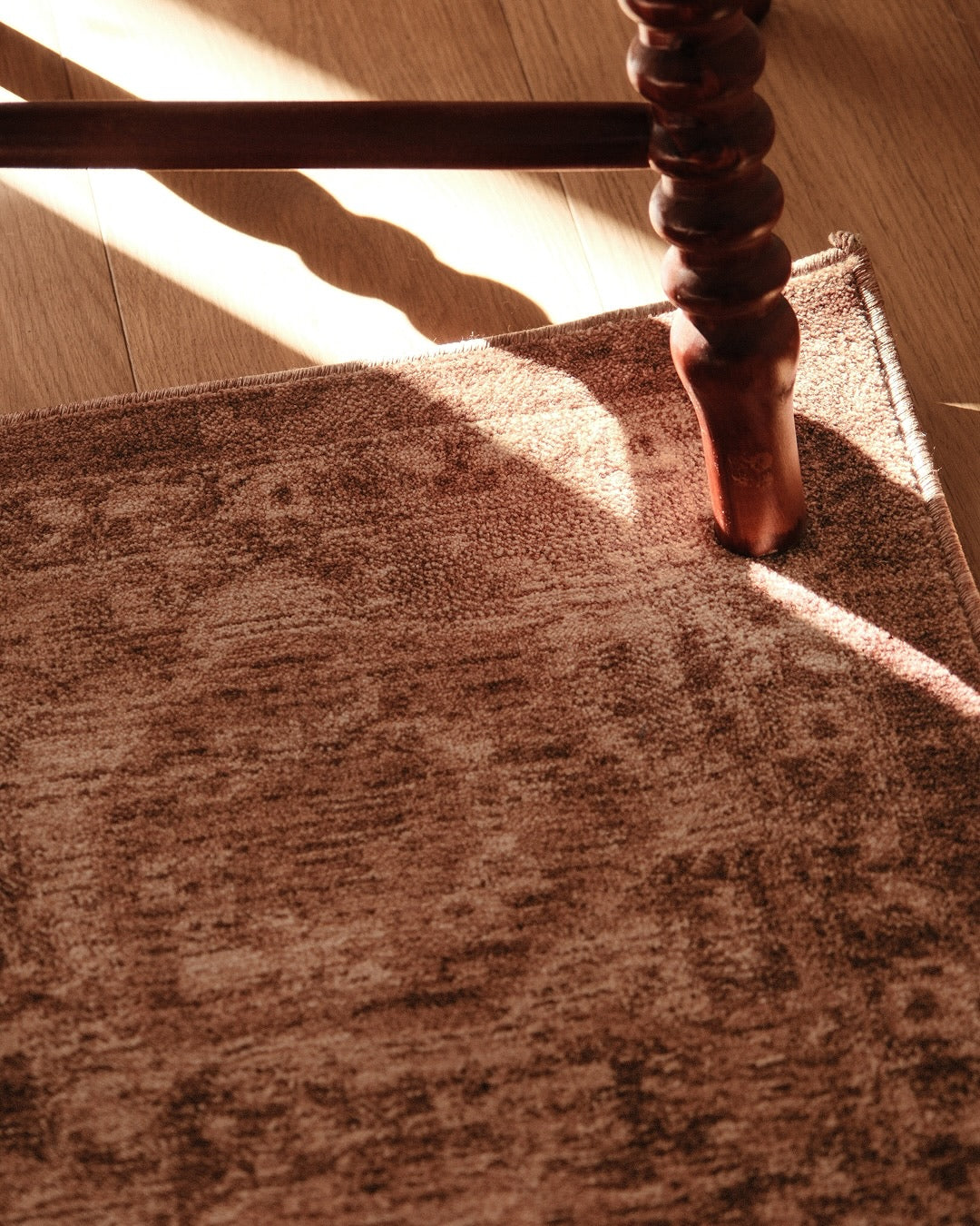 Dolores Tonal Tobacco Brown Rug