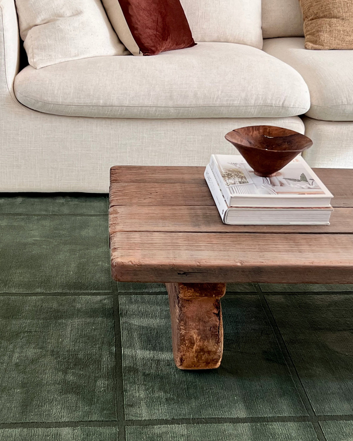 Edelle Tonal Olive Velvet Rug