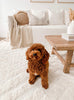 Elle Ivory Cream Diamond Tribal Textured Rug