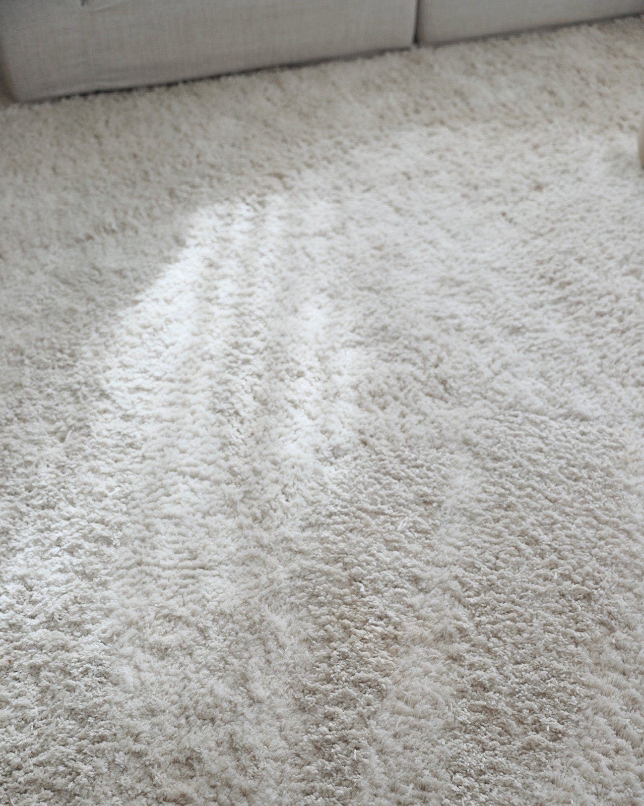 Ernestine Ivory Shag Rug
