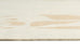 Eugenie Neutral Botanical Border Washable Rug