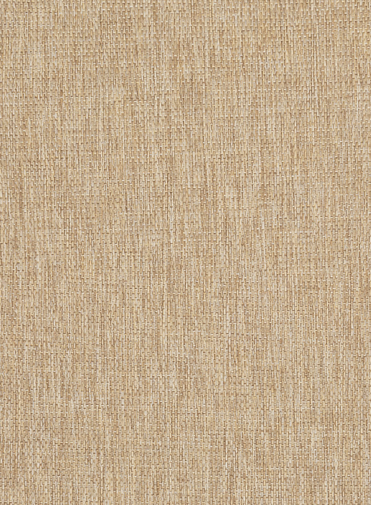Ilya Sandy Beige Woven Indoor Outdoor Rug