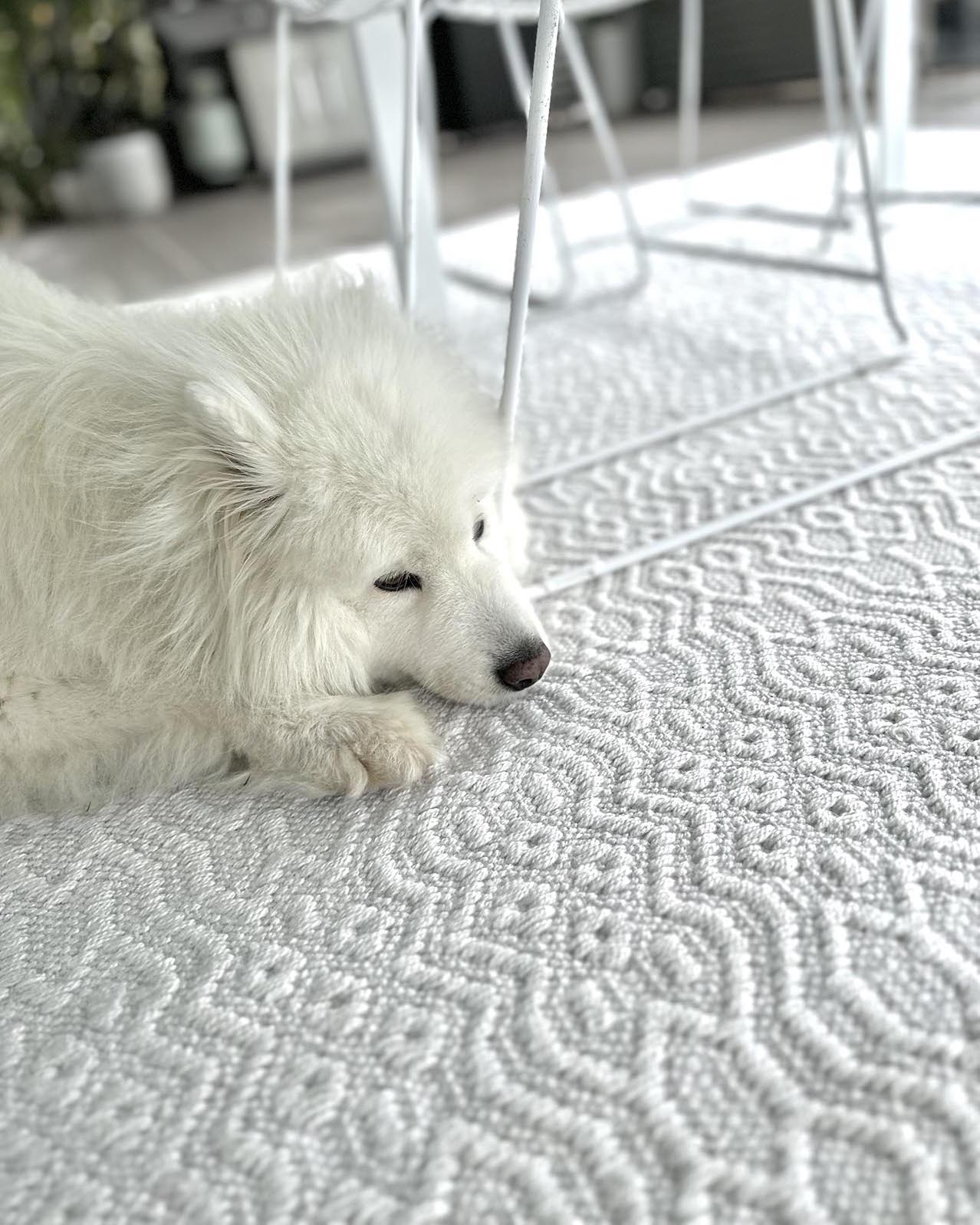 Ivy Ivory Indoor Outdoor P.E.T Rug