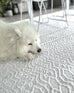 Ivy Ivory Indoor Outdoor PET Rug*NO RETURNS UNLESS FAULTY