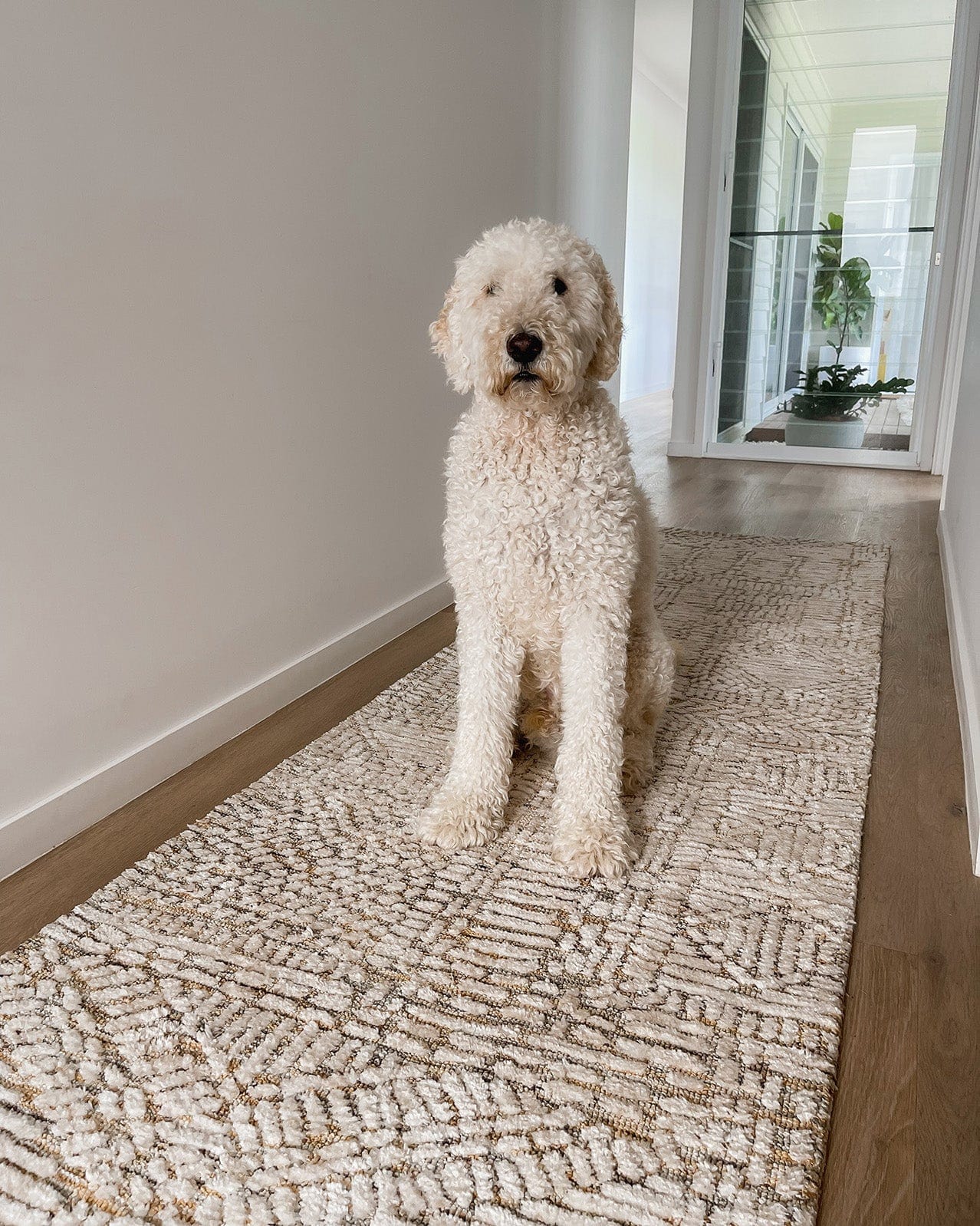 Jordan Mustard and Beige Geometric Modern Runner Rug
