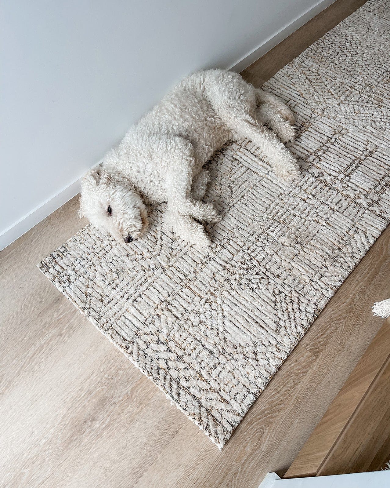 Jordan Mustard and Beige Geometric Modern Runner Rug