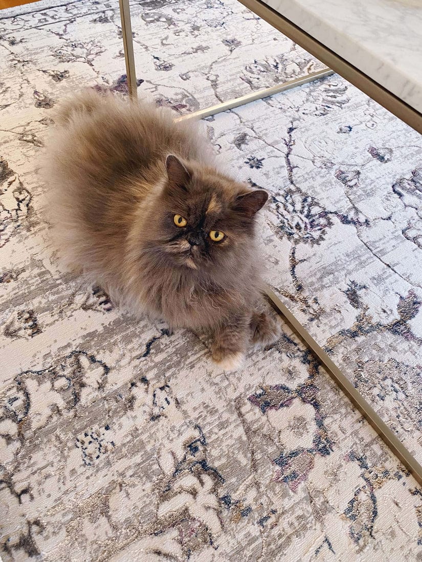 Kimora Cream And Grey Lustrous Transitional Rug