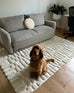 Leneisy Ivory Abstract Rug