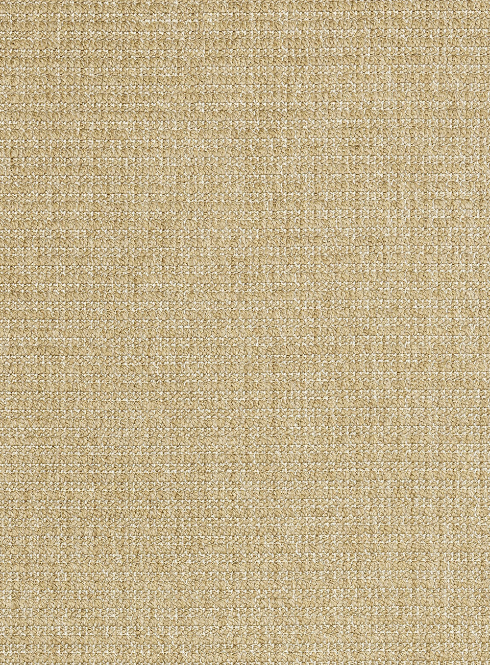 Leonora Tan Indoor Outdoor Rug