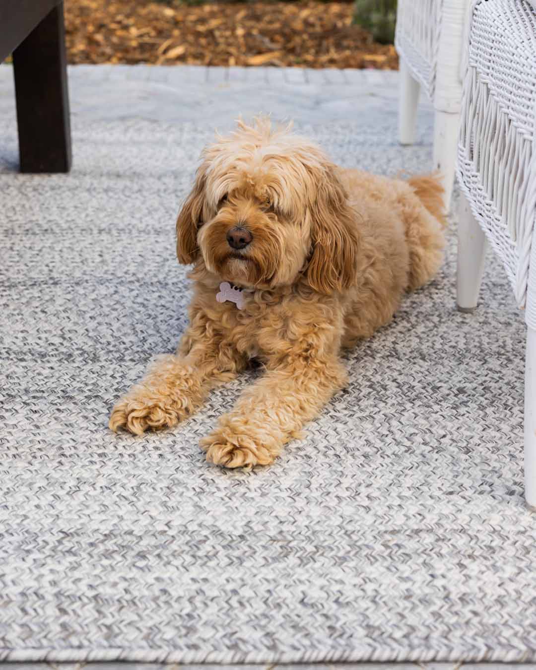 Mika Grey Braided Flatweave Indoor Outdoor Rug