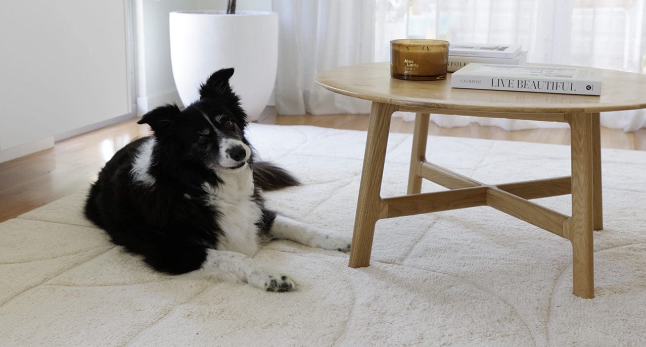 Mikaela Cream Beige Abstract Cotton Washable Rug