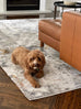 Neve Blue Grey and Bronze Transitional Motif Rug