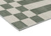 Nicolette Green and White Checkered and Striped Rug