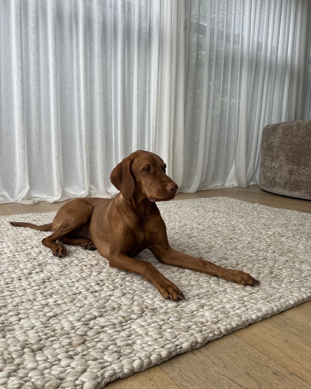 Patrice Natural Taupe Pebble Loop Rug