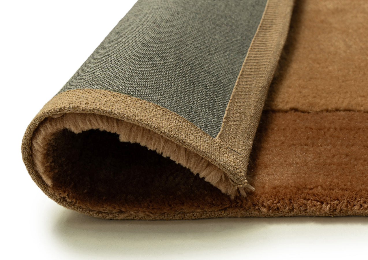 Rozanda Brown Bordered Shag Rug
