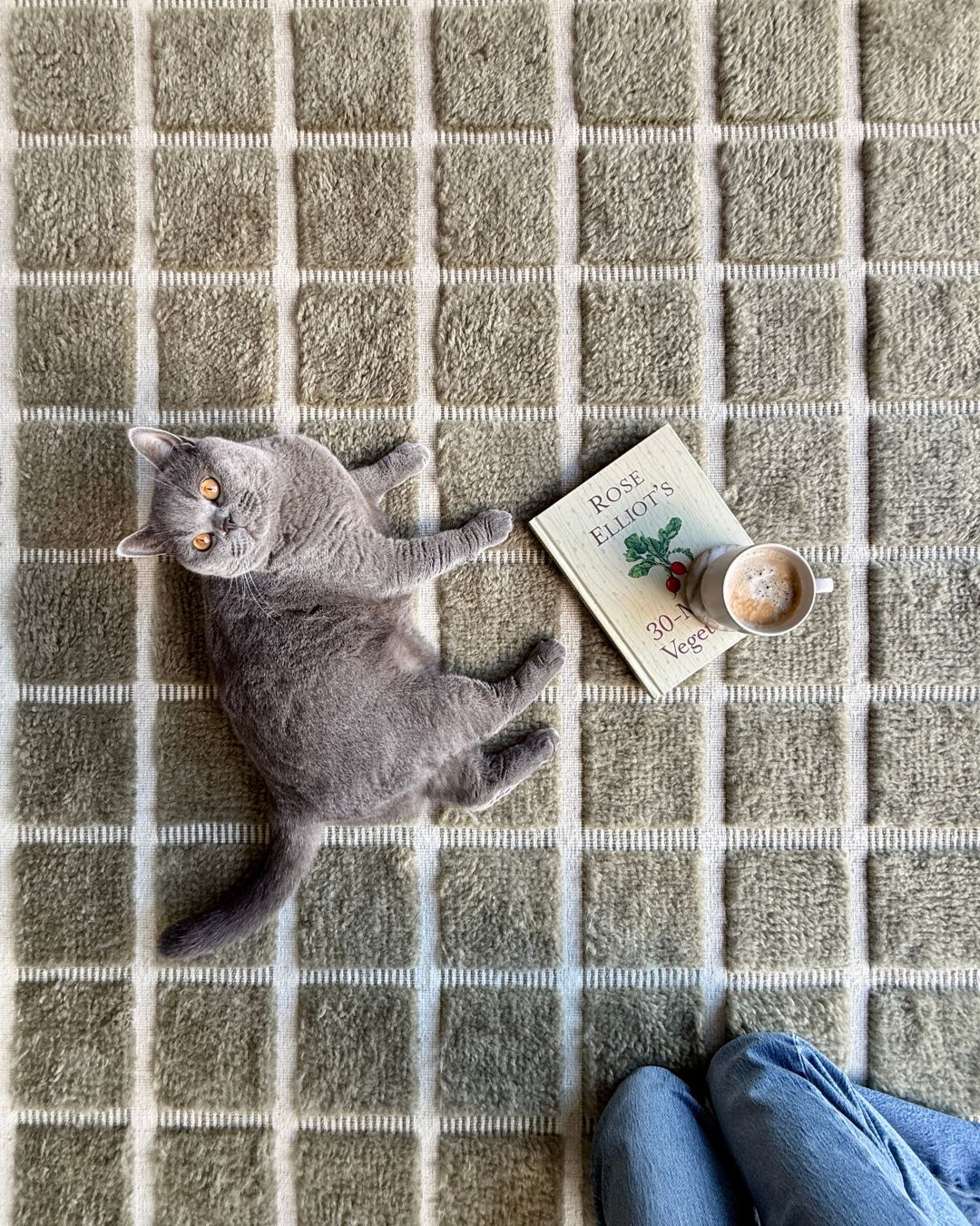 Sondra Green Handloom Grid Wool Rug