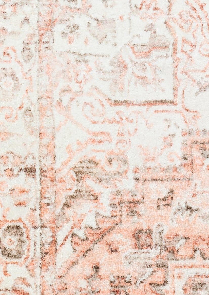 Veronique Peach and Brown Distressed Washable Rug
