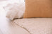 Fleur Ivory Braided and Looped Rug *NO RETURNS UNLESS FAULTY
